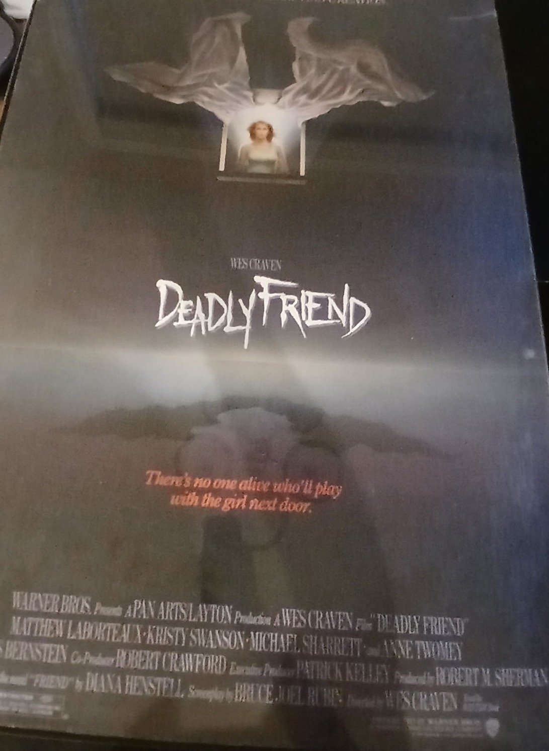 Actual Deadly Friend — home-video promotional poster front photograph