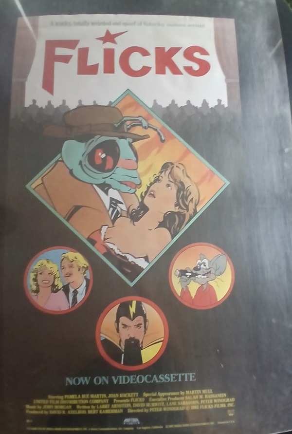 Actual Flicks — home-video promotional poster front photograph