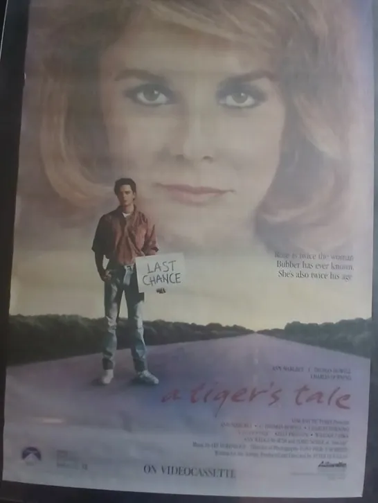 Actual A Tiger's Tale — home-video promotional poster front photograph