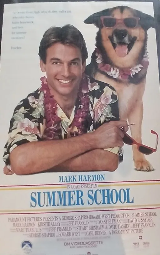 Actual Summer School — home-video promotional poster front photograph